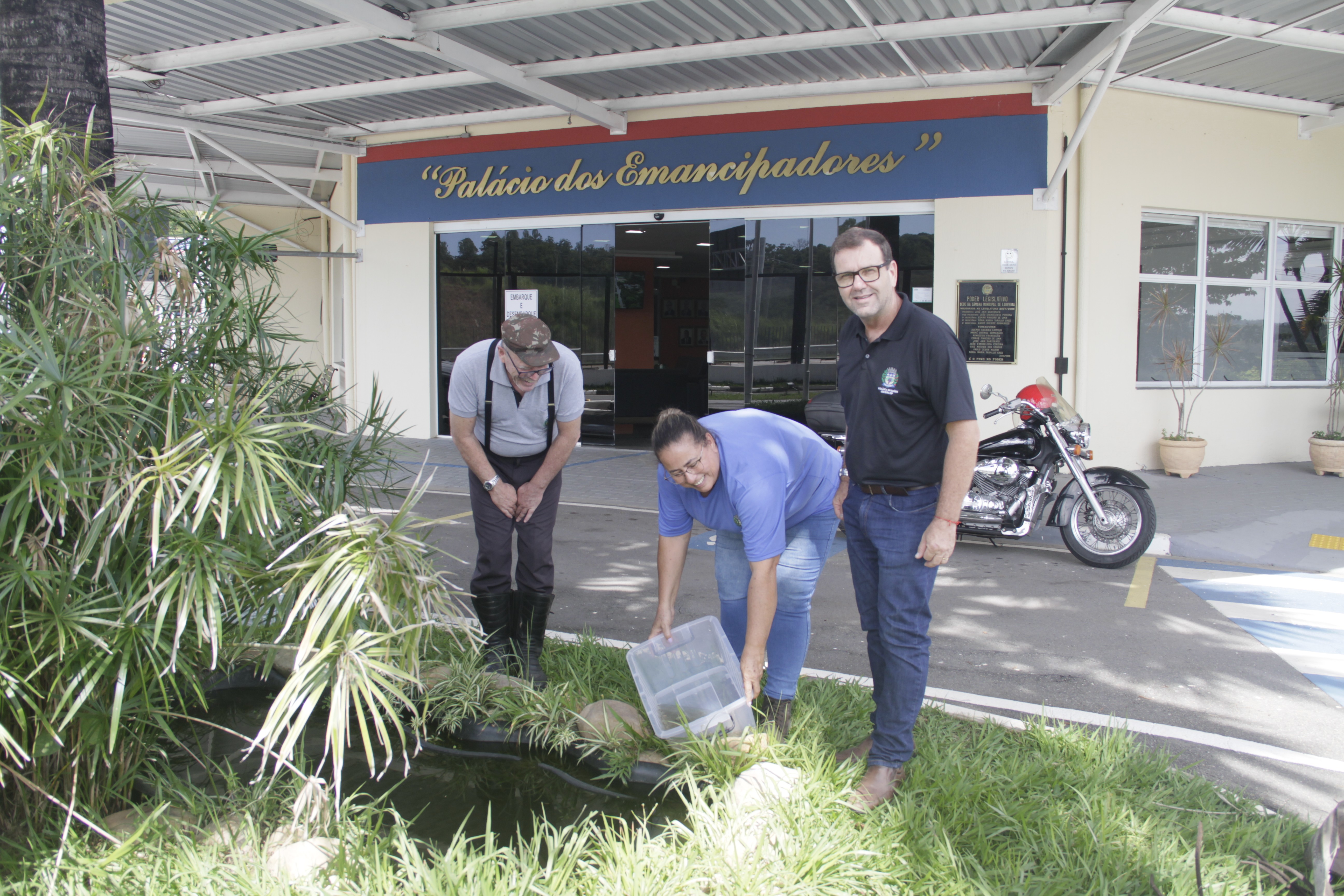 Câmara usa peixes no combate ao mosquito da Dengue